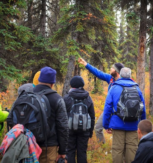 Interessante flora bij Kantishna Roadhouse in Denali National Park, Alaska
