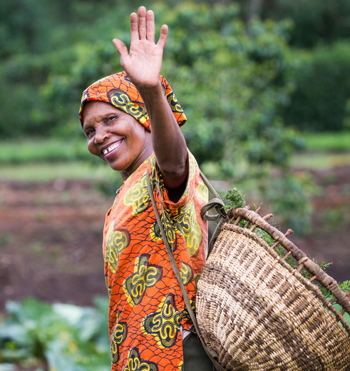 Een vriendelijke vrouw zwaait naar de toeristen op de koffieplantaage in Karatu, Tanzania