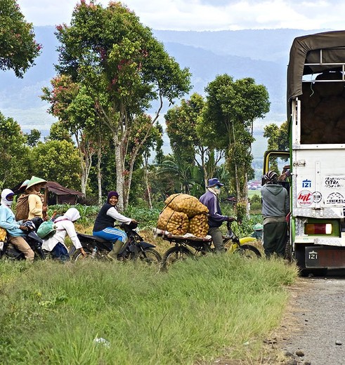 Kerinci-Brommers_1_406082