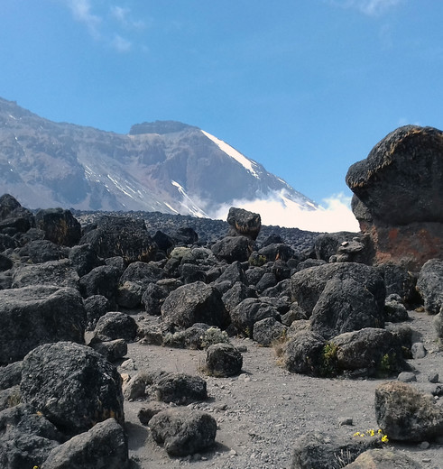 Kilimanjaro-Omgeving_1_423296