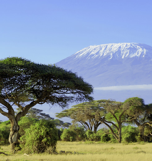 Uitzicht op de Kilimanjaro in Tanzania