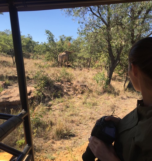 Krugerpark-Wildlife-Spotten_1_349003