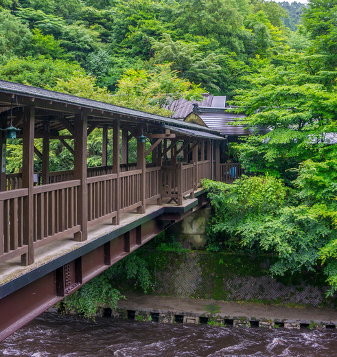 Natuur en Hotsprings op Kyushu in Kurokawa Onsen