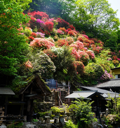 Kurokawa-Onsen-5_mini