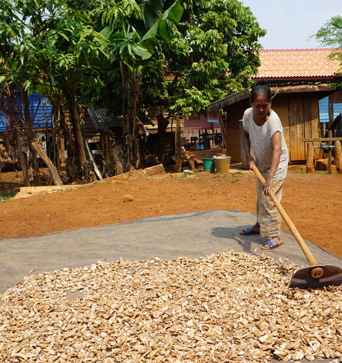 Laos-BolavenPlateau-Local