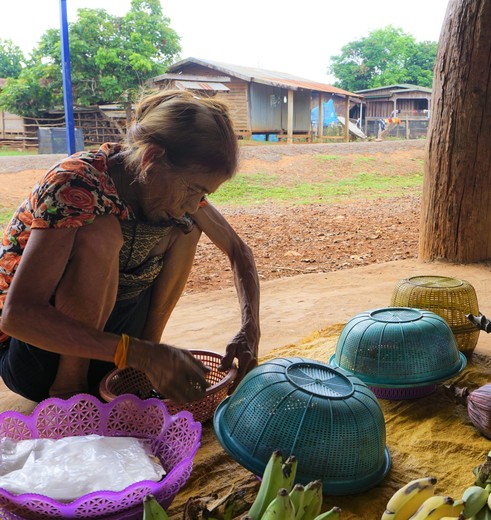 Laos-BolavenPlateau-verkoopster_1_407175