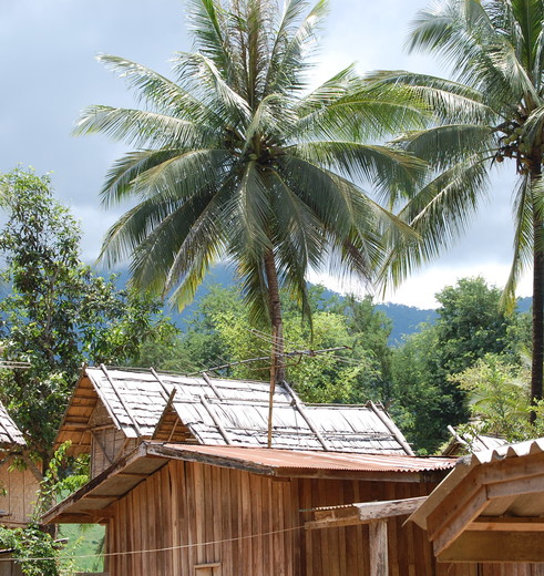 Laos-Boottocht-Luang-Prabang3_1_411943