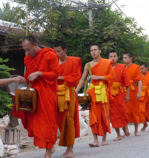 Laos-LuangPrabang-monnikenineenrij_1