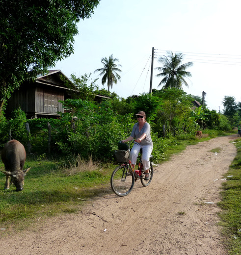 Heerlijk fietsen langs lokale dorpjes, buffels en watervallen op het eiland Don Khone