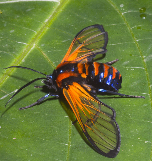 8757d262-7ce4-48fa-b711-a0290bf8025b