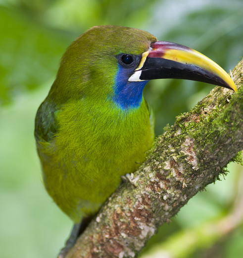 a1e06563-538e-461e-9792-c2857be6f135