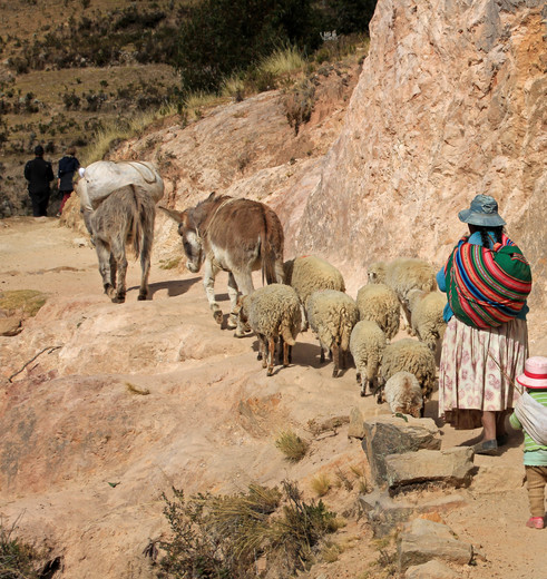 Lokale-bevolking-op-Isla-del-Sol-Bolivia