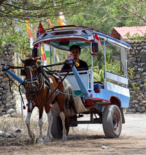 Een cimodo op Gili Air