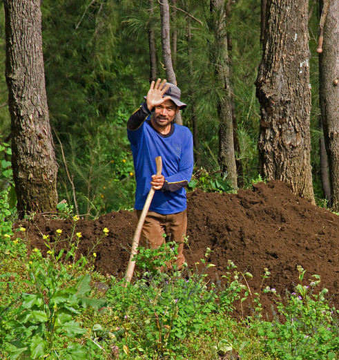 Lombok-Tetebatu-Ploegen