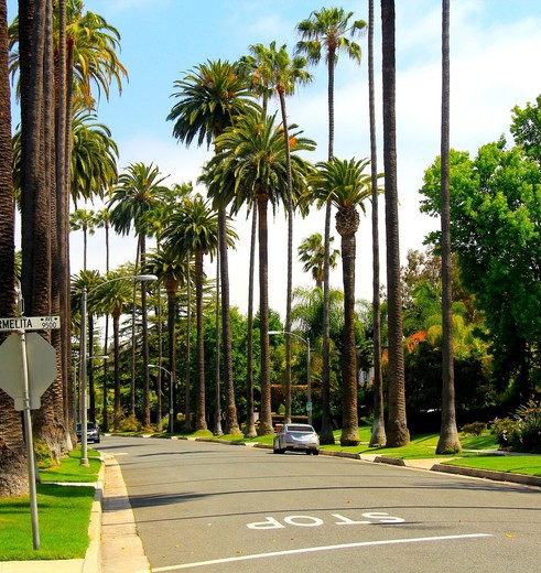 Los-Angeles-Beverly-Hills3