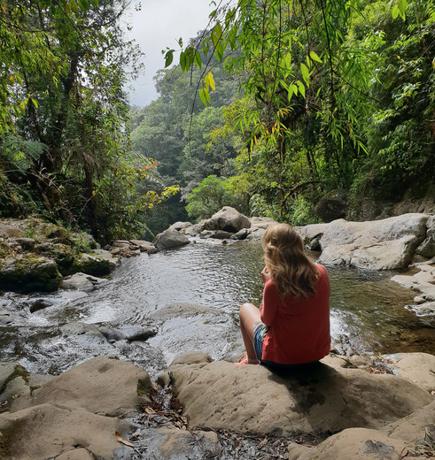 De groene jungle van Boquete