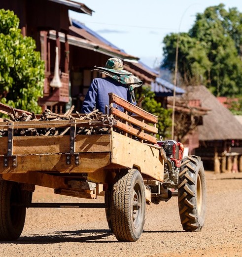 Luang-Namtha-Trekker_1_414098