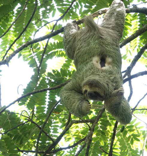 Kelly en Rick reisden in 2023 naar Costa Rica 