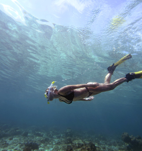 Malediven-onderwaterwereld-snorkelen_1_374833 Malediven-onderwaterwereld-snorkelen_1_374833