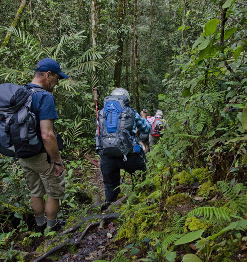 Maak een trekking in Crocker Range, Maleisië