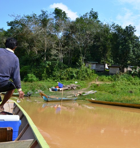 Maleisie-MaleisischBorneo-Sarawak-BatangAi-oever5(8)