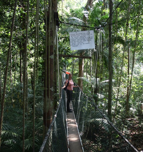 Maleisie-Taman-Negara-jungle