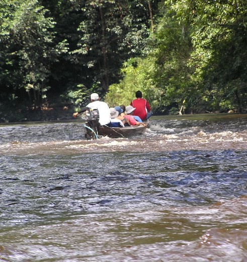 Maleisie-WestMaleisie-TamanNegara-regenwoudrivierboot(8)