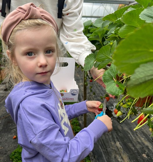 Maleisie aardbeienboederij kinderen