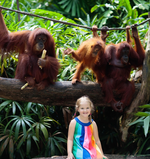 Kindje in Borneo bij de orang-oetans