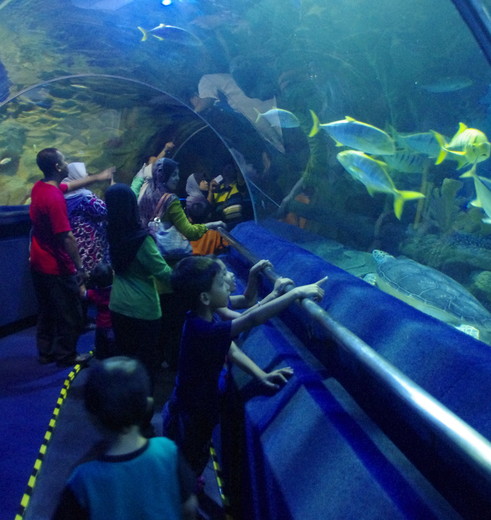 9017246900_d1e1c4ca5a_k_1_421439