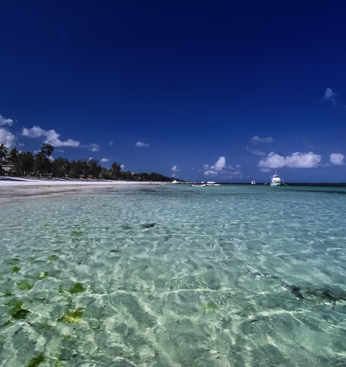 Lange zandstrand Malindi, Kenia