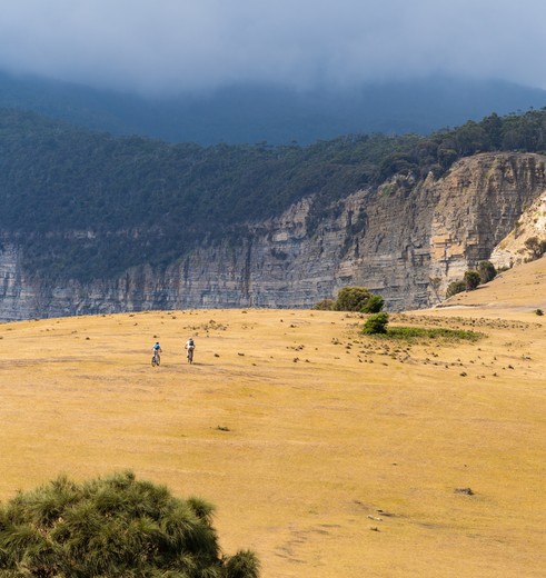 Maria Island, Tasmanië, Australië