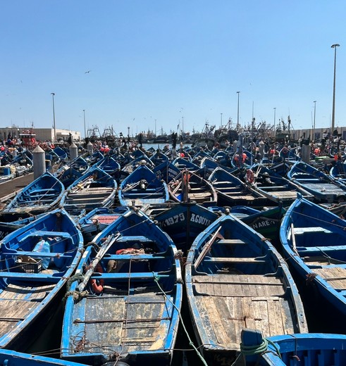 Kleurrijke bootjes in de haven van Essaouira