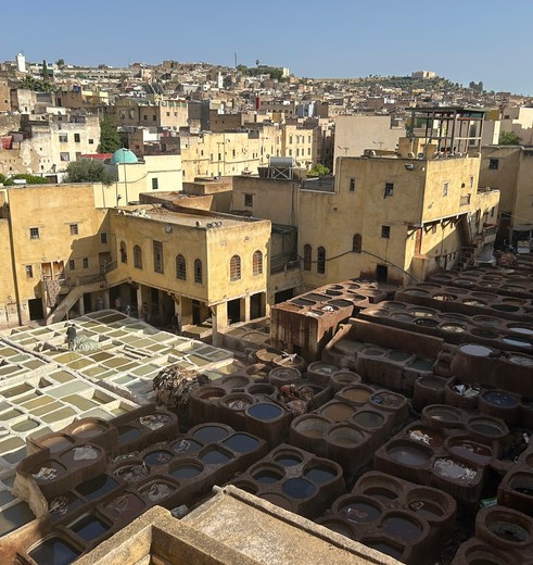 Verfbaden voor het leer in Fez
