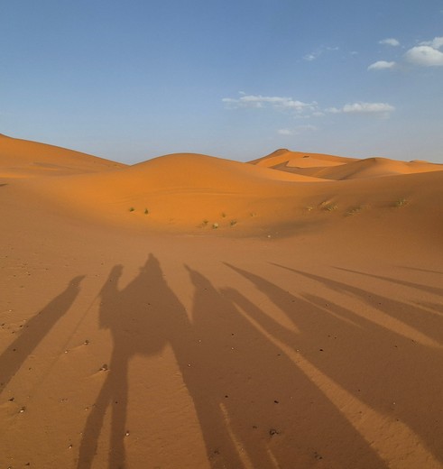 Op de rug van de dromedaris door de Sahara Op de rug van de dromedaris door de Sahara
