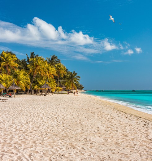 Stranden en palmbomen een aan de oostkust van Mauritius