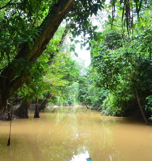 Menunggul-rivier-Sukau(13)