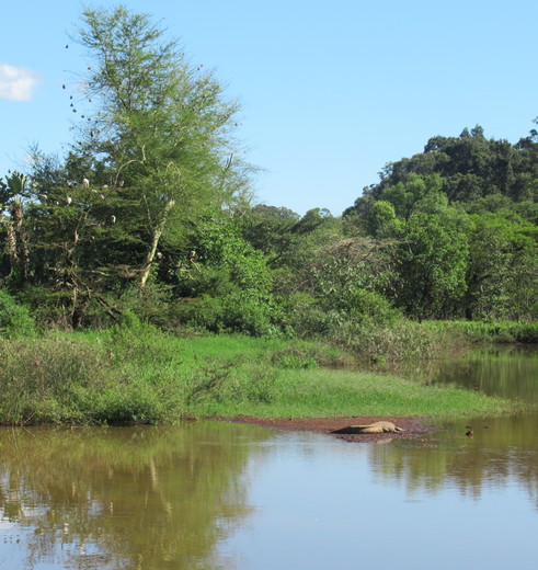 Mlilwane-National-Reserve-3