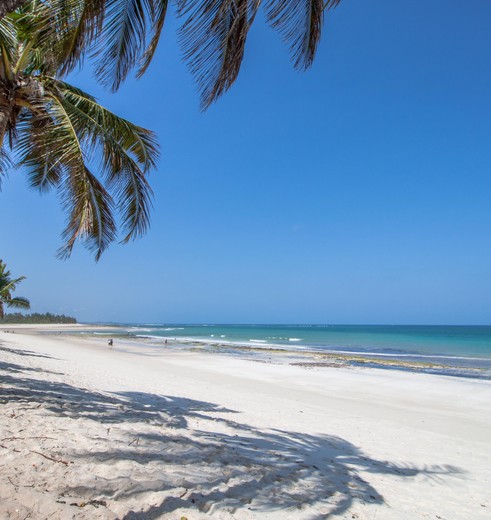 Witte zandstrand Diani Beach Mombasa, Kenia