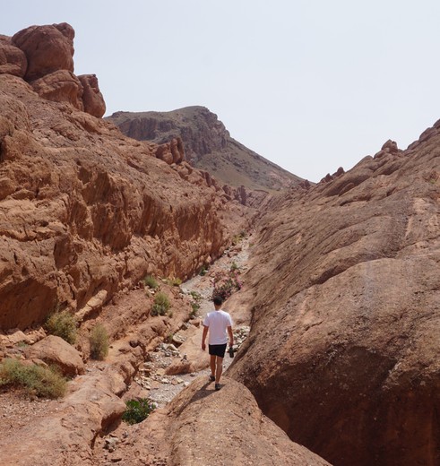 Het is prachtig wandelen door de Dadesvallei