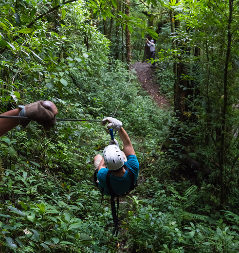 Monteverde-1-Canopy_1_337077