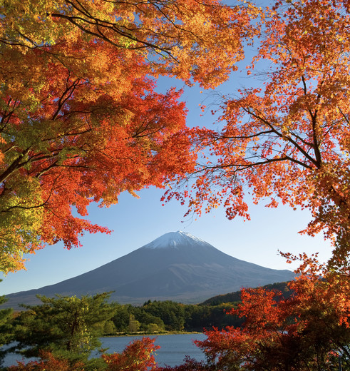 Japan en Mount Fuji in herfstkleuren