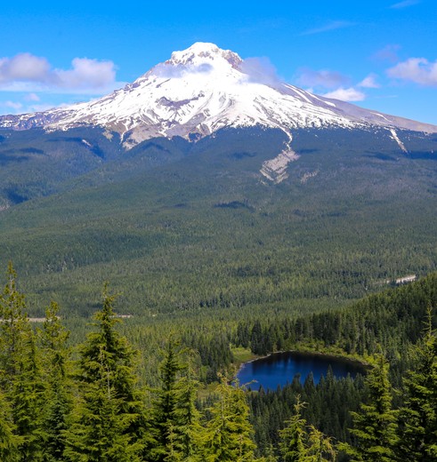 De besneeuwde top van de Mount Hood, Verenigde Staten
