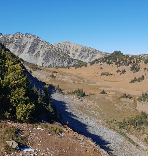 Vulkanisch landschap Mount Rainier National Park, Verenigde Staten