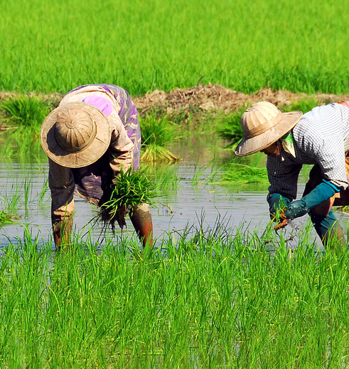 Locals op UNESCO werelderfgoed Pyay in Myanmar