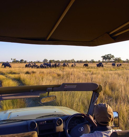 Namibie-CapriviStrook-Namushasha-RiverLodge_3_308792