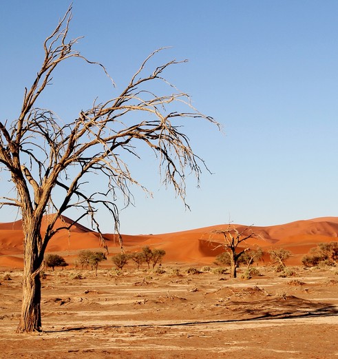 Namibie-Kalahari-Woestijn-1