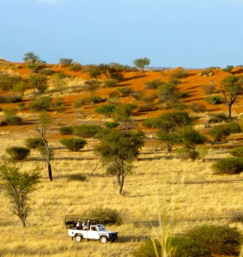 Kalahari (1)-c17061f6(10)