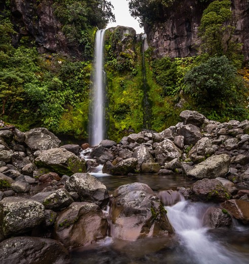 Dawson Falls nabij Mount Taranaki, Nieuw-Zeeland