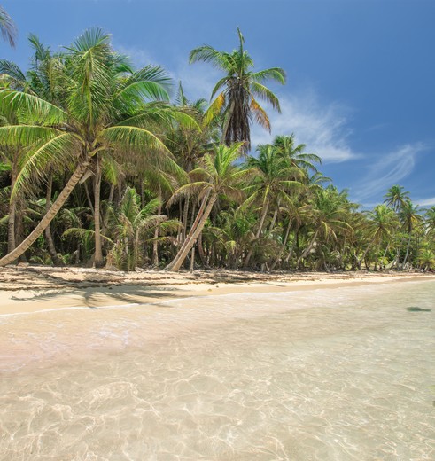 Bounty stranden en tropische palmbomen in Nicaragua